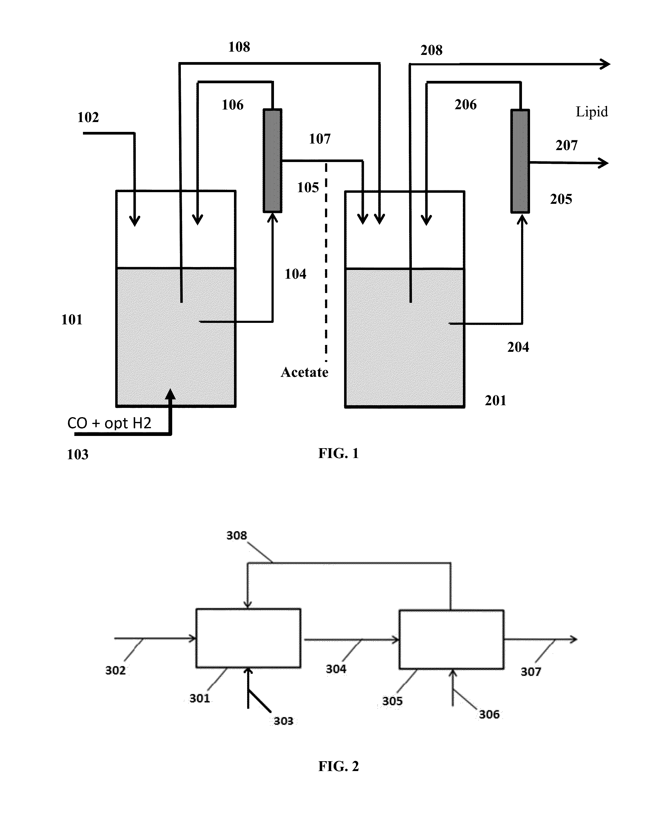 Fermentation process for the production of lipids