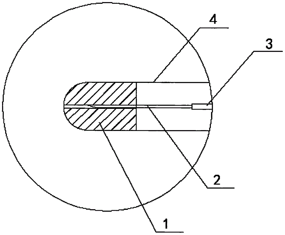 Tumor interventional therapy device