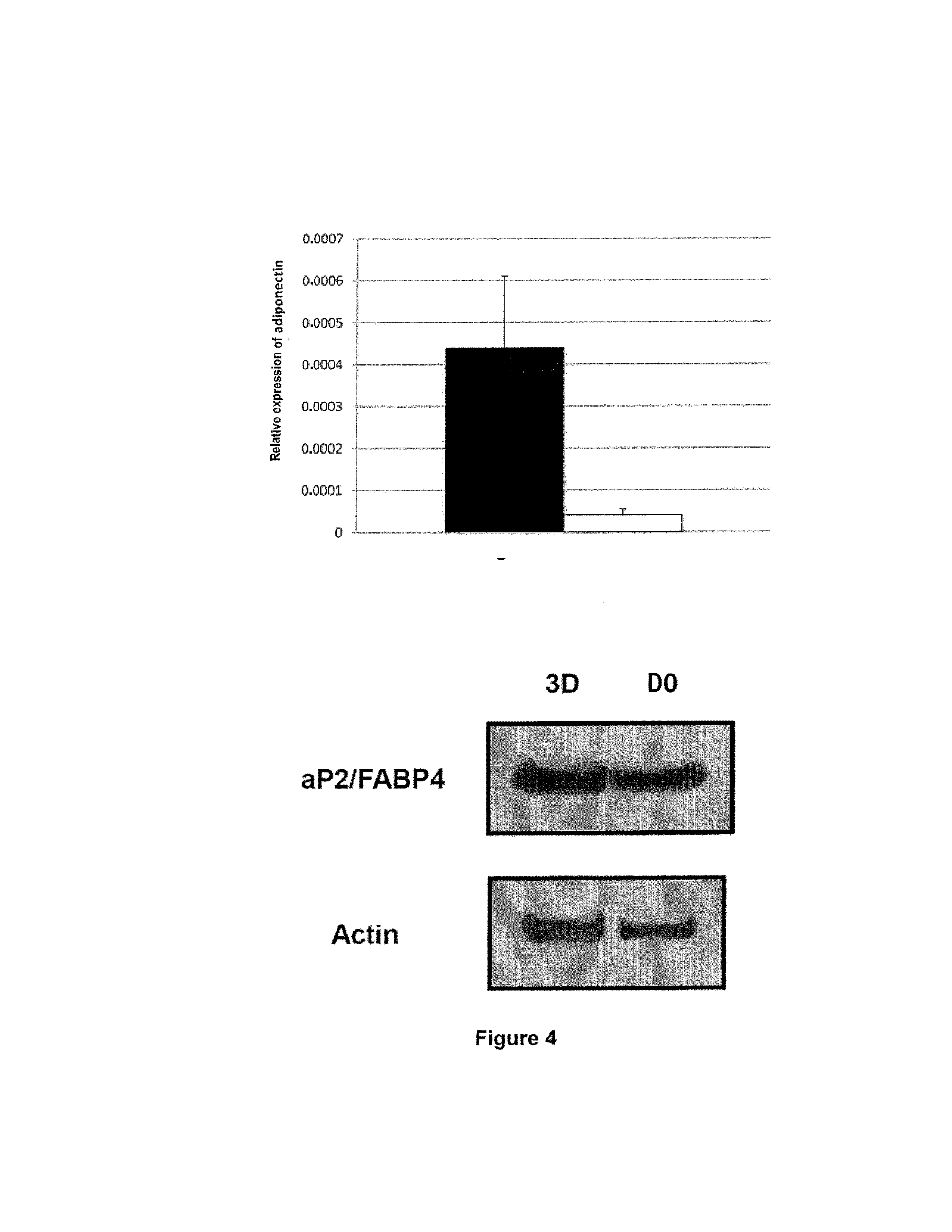 Method for Culturing Adipocytes