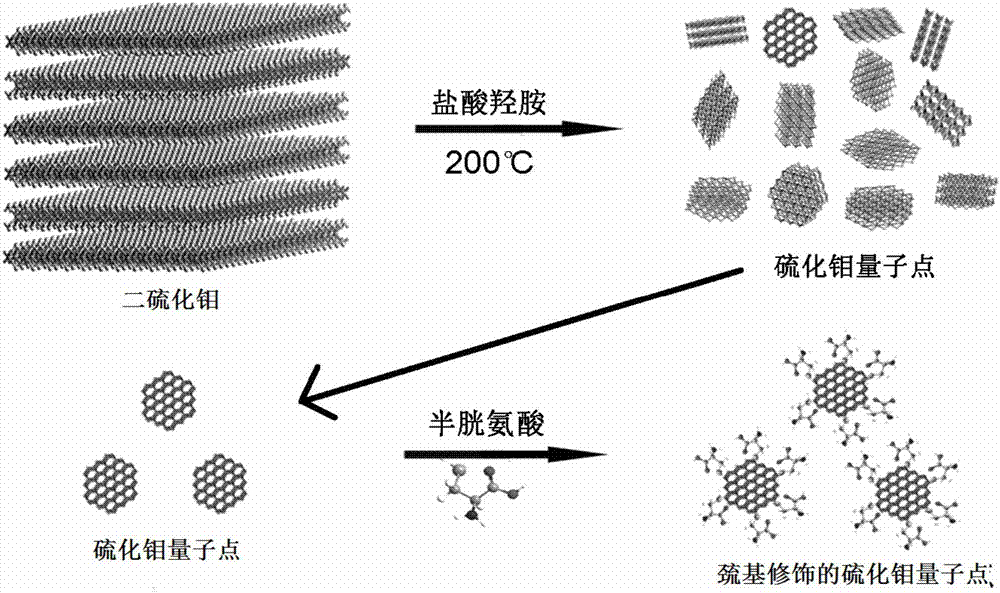 Sulfydryl-modified molybdenum sulfide quantum dot, preparation method of sulfydryl-modified molybdenum sulfide quantum dot and detection method of 2,4,6-trinitrotoluene