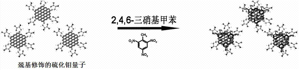 Sulfydryl-modified molybdenum sulfide quantum dot, preparation method of sulfydryl-modified molybdenum sulfide quantum dot and detection method of 2,4,6-trinitrotoluene