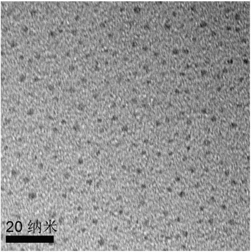 Sulfydryl-modified molybdenum sulfide quantum dot, preparation method of sulfydryl-modified molybdenum sulfide quantum dot and detection method of 2,4,6-trinitrotoluene