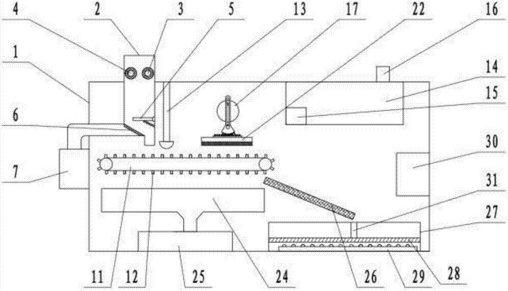 Brushing and screening equipment for potatoes