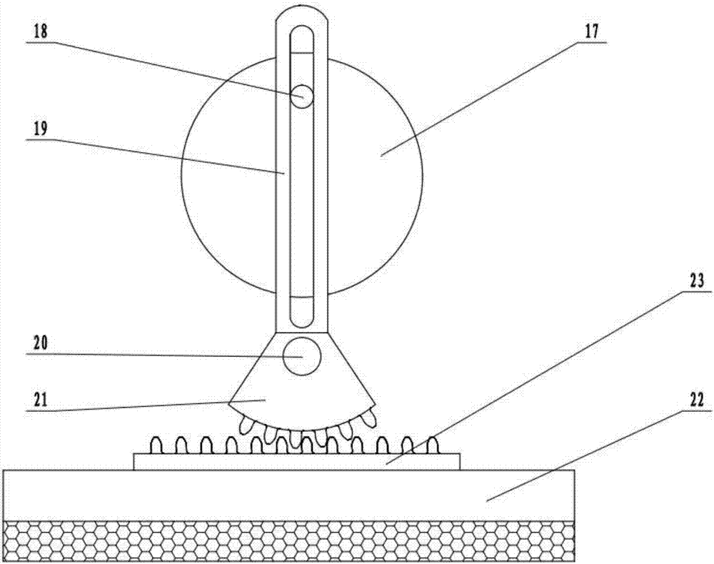 Brushing and screening equipment for potatoes