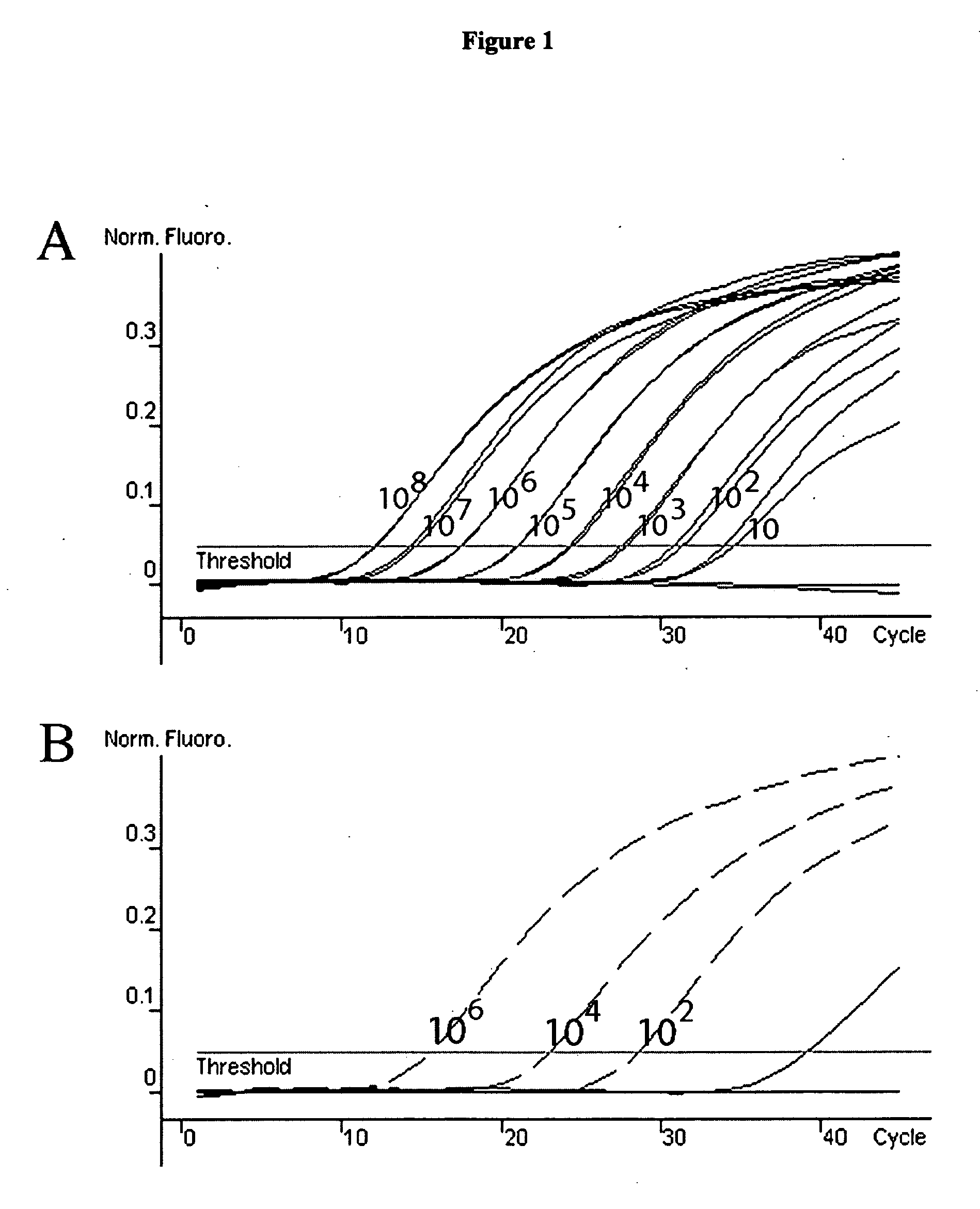 Oligonucleotides useful in methods for detecting and characterizing Aspergillus fumigatus