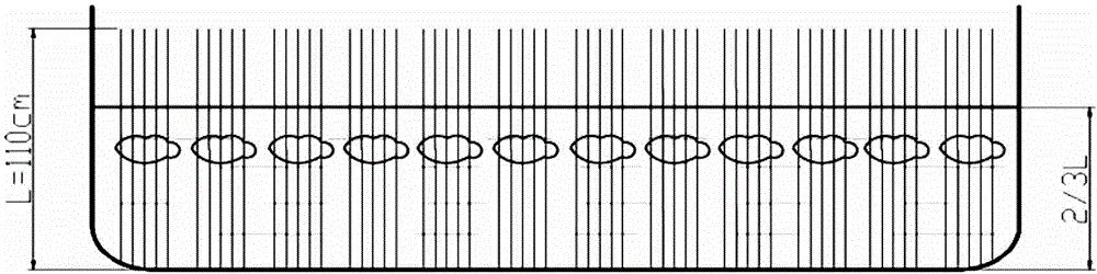 A method for afforestation of Salix salix cuttings