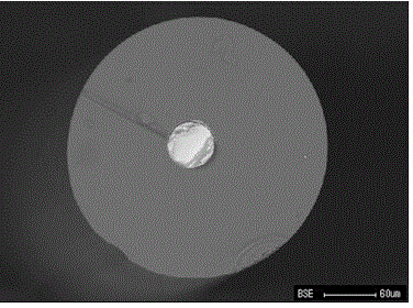 Composite optical fiber with multi-component phosphate glass cladding/selenium and tellurium compound semiconductor fiber core