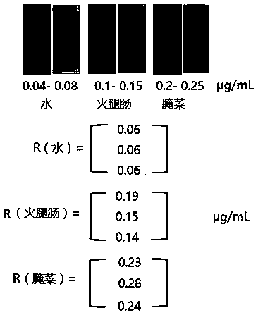 A color/fluorescence dual-signal visualization method for rapid detection of nitrite and its application