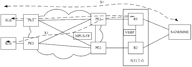 Dual homing protection method and equipment