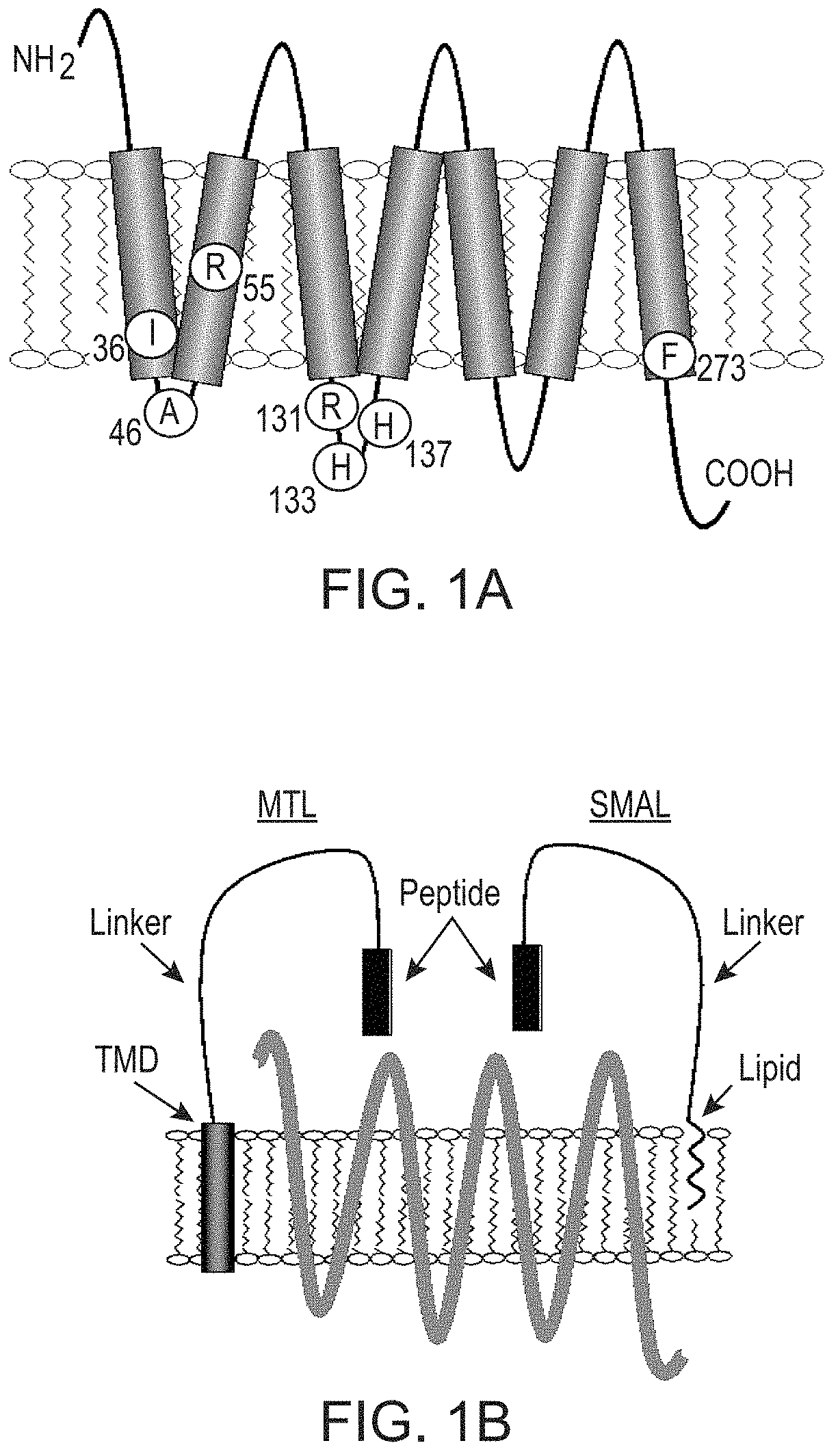 Compounds and methods for treating pain