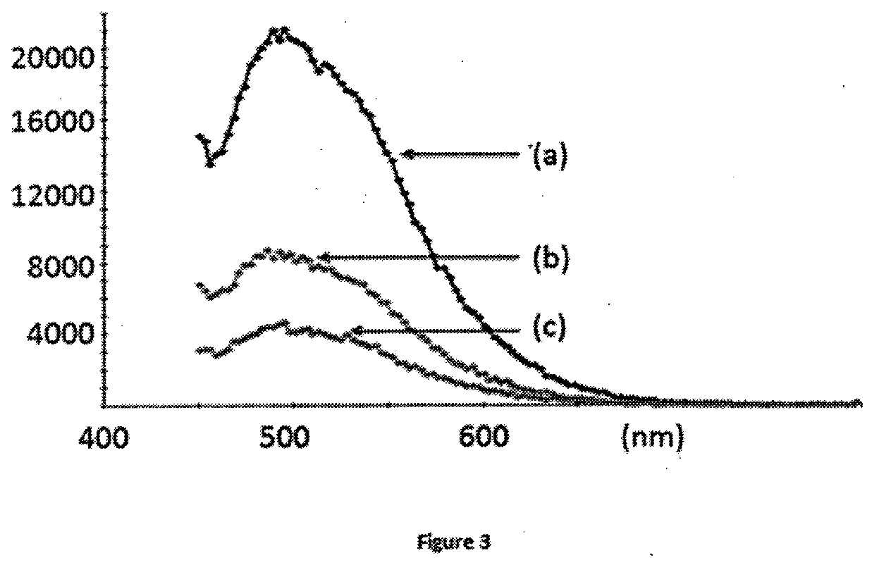 Purified pollen particles and use thereof for administering nanosystems