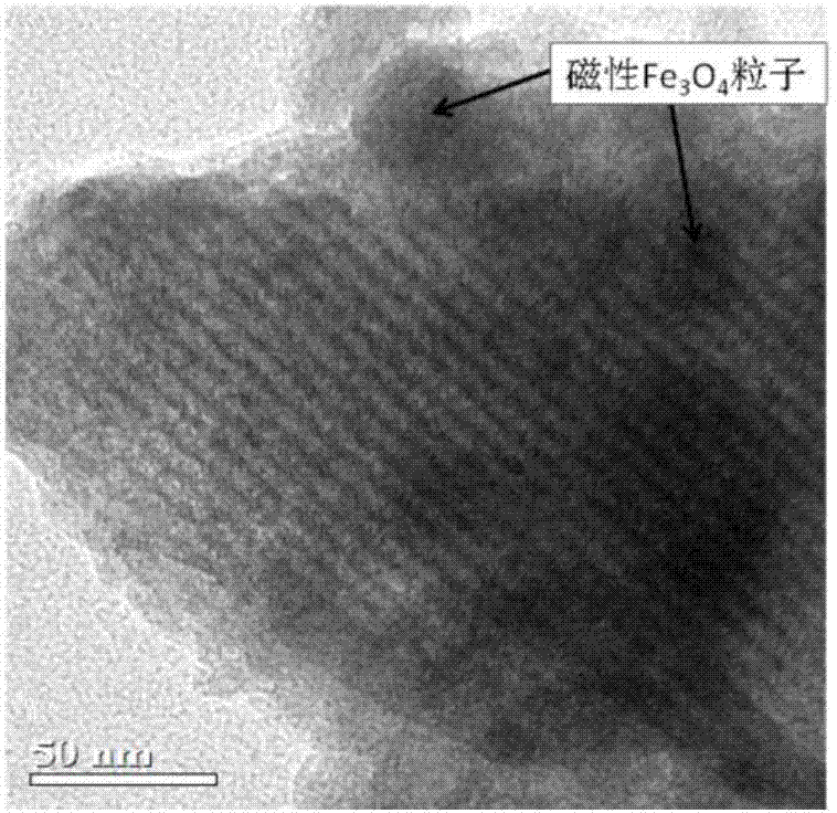 Magnetic mesoporous bioactive glass drug delivery system and preparation method thereof