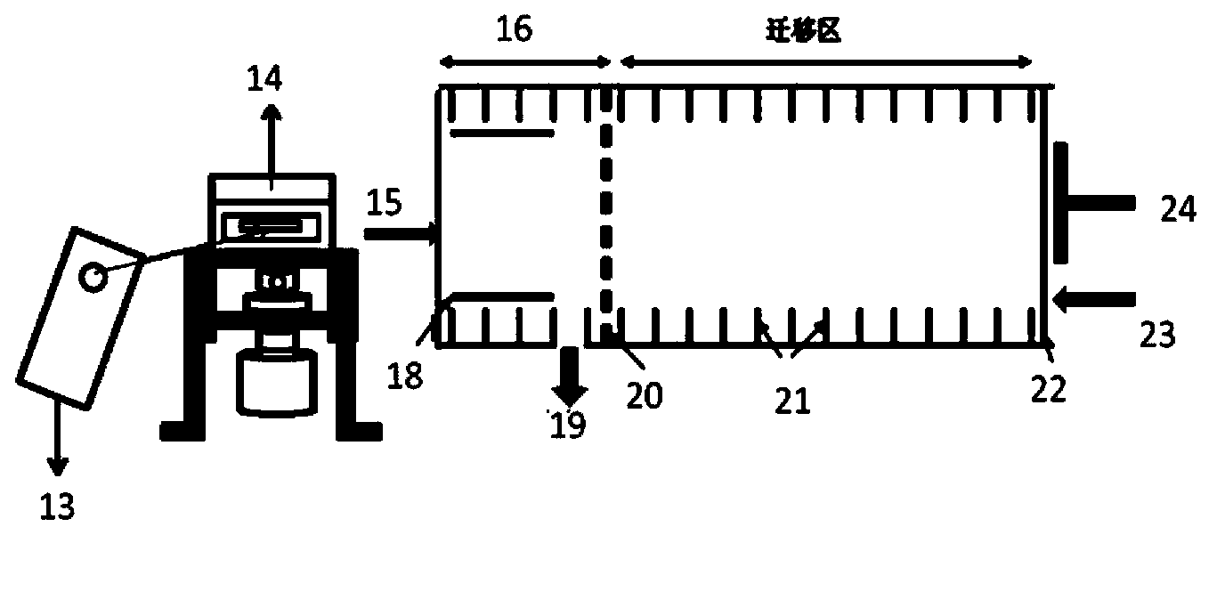 Detection control device for anesthetics in blood