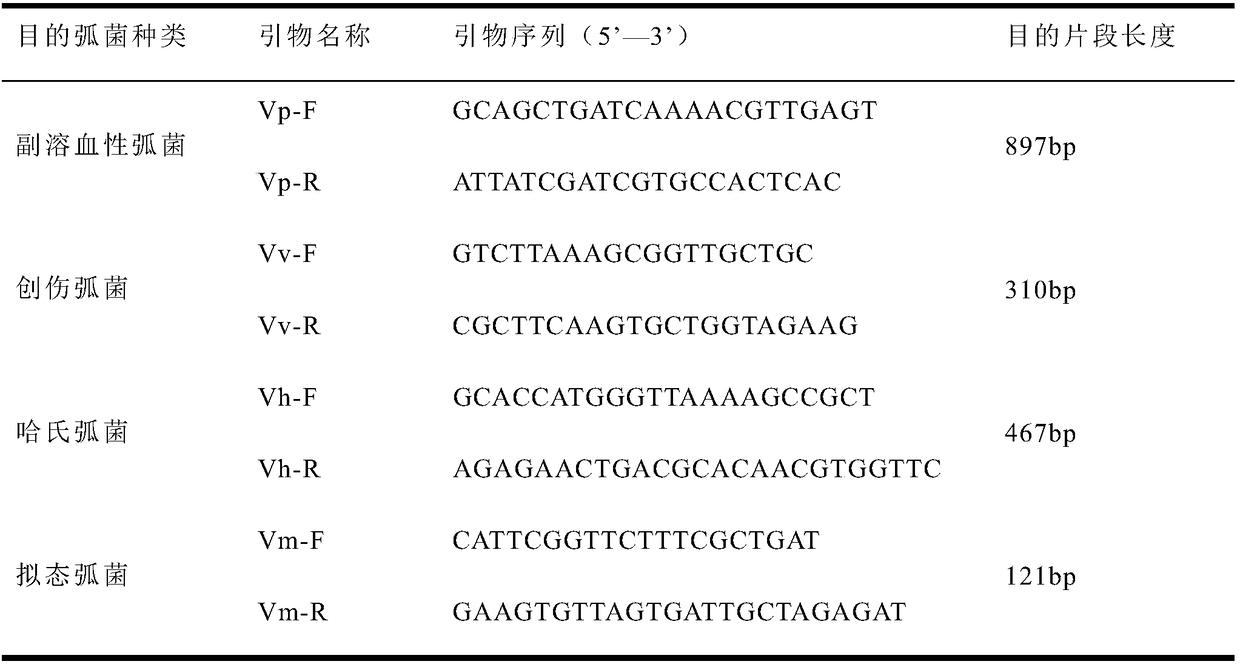 Multiplex PCR primer set and detecting method and kit for simultaneous detection of four pathogenic Vibrio