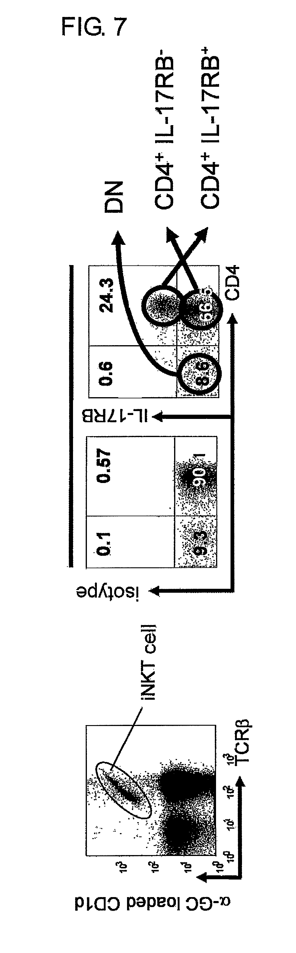 Methods for treating allergic airway inflammation, airway hypersensitivity, and eosinophilia