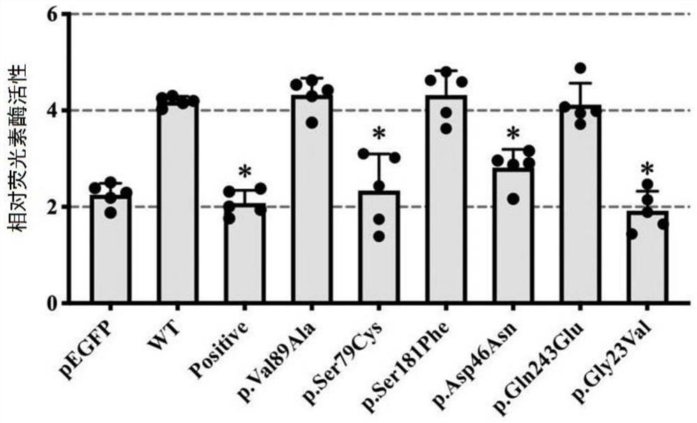 The diagnostic markers and application of mrkh syndrome