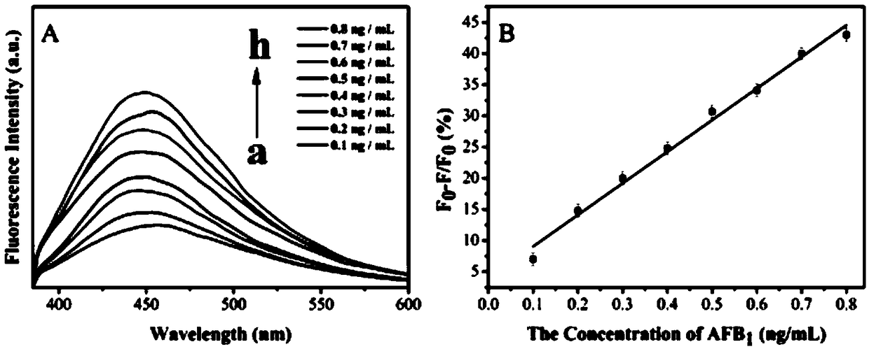 Rapid detection method for aflatoxin B1