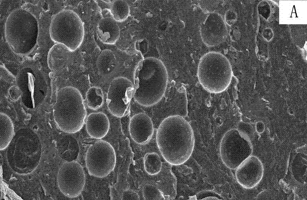 Epoxy resin and nano inorganic particle compounded foam material and preparation method thereof