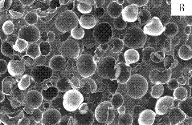 Epoxy resin and nano inorganic particle compounded foam material and preparation method thereof