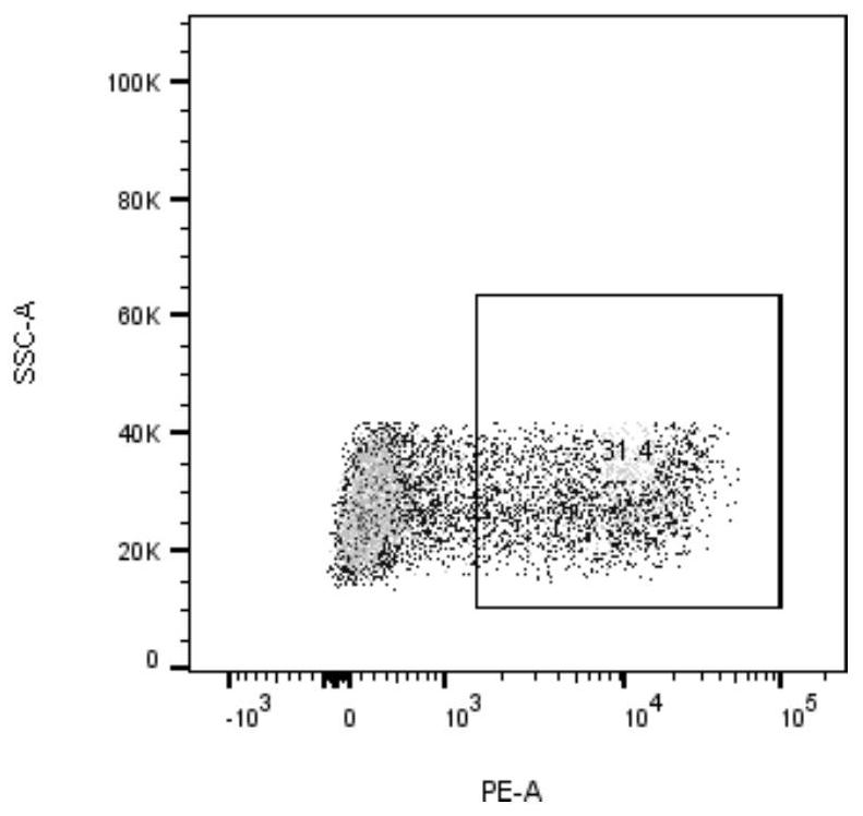 EGFR T790M neoantigen epitope peptide and application thereof in tumor treatment