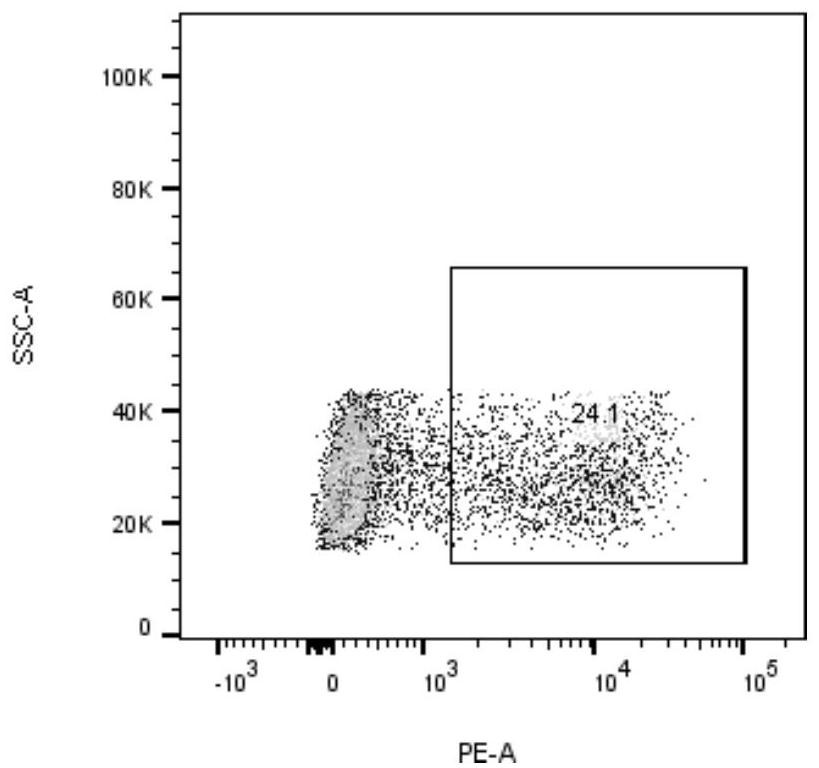 EGFR T790M neoantigen epitope peptide and application thereof in tumor treatment