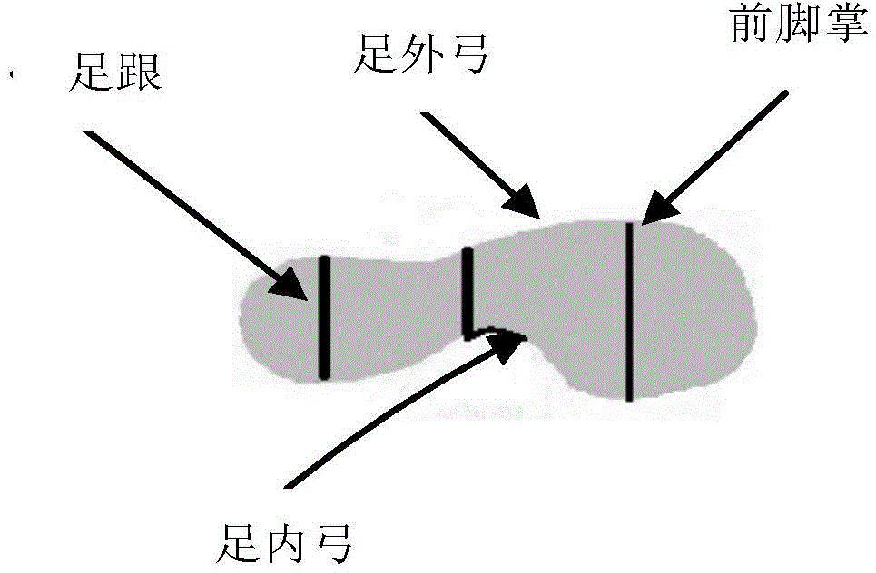 Left and right foot dynamic recognition method based on plantar pressure distribution information