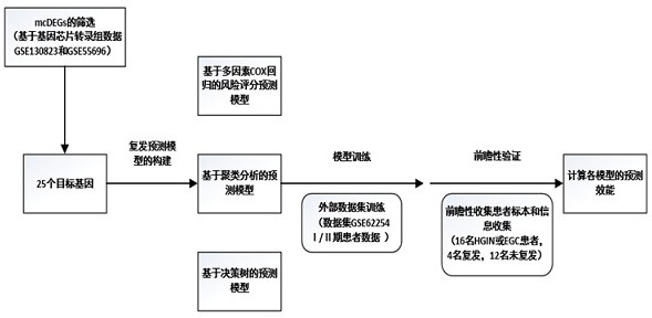 Early gastric cancer prognosis differential gene and recurrence prediction model