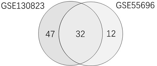 Early gastric cancer prognosis differential gene and recurrence prediction model