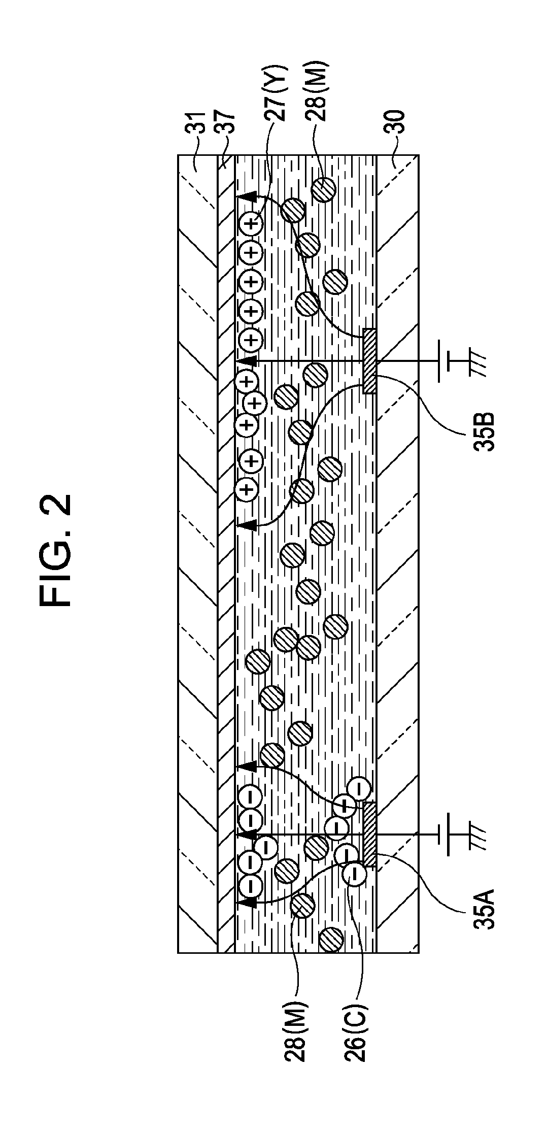 Electrophoretic display device and electronic apparatus