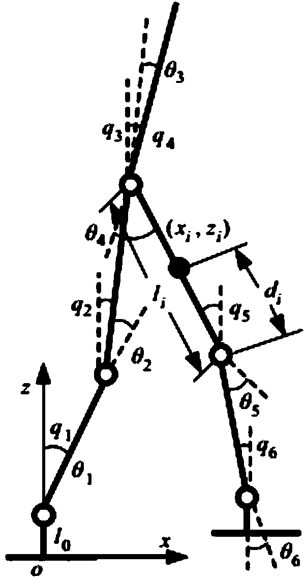 Pedestrian navigation system and navigation positioning method based on kinesiology model