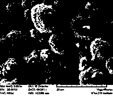 Preparation method of polyelectrolyte-cladding LiNixCoyMn&lt;1-x-y&gt;O2 positive electrode material