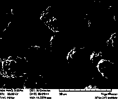 Preparation method of polyelectrolyte-cladding LiNixCoyMn&lt;1-x-y&gt;O2 positive electrode material