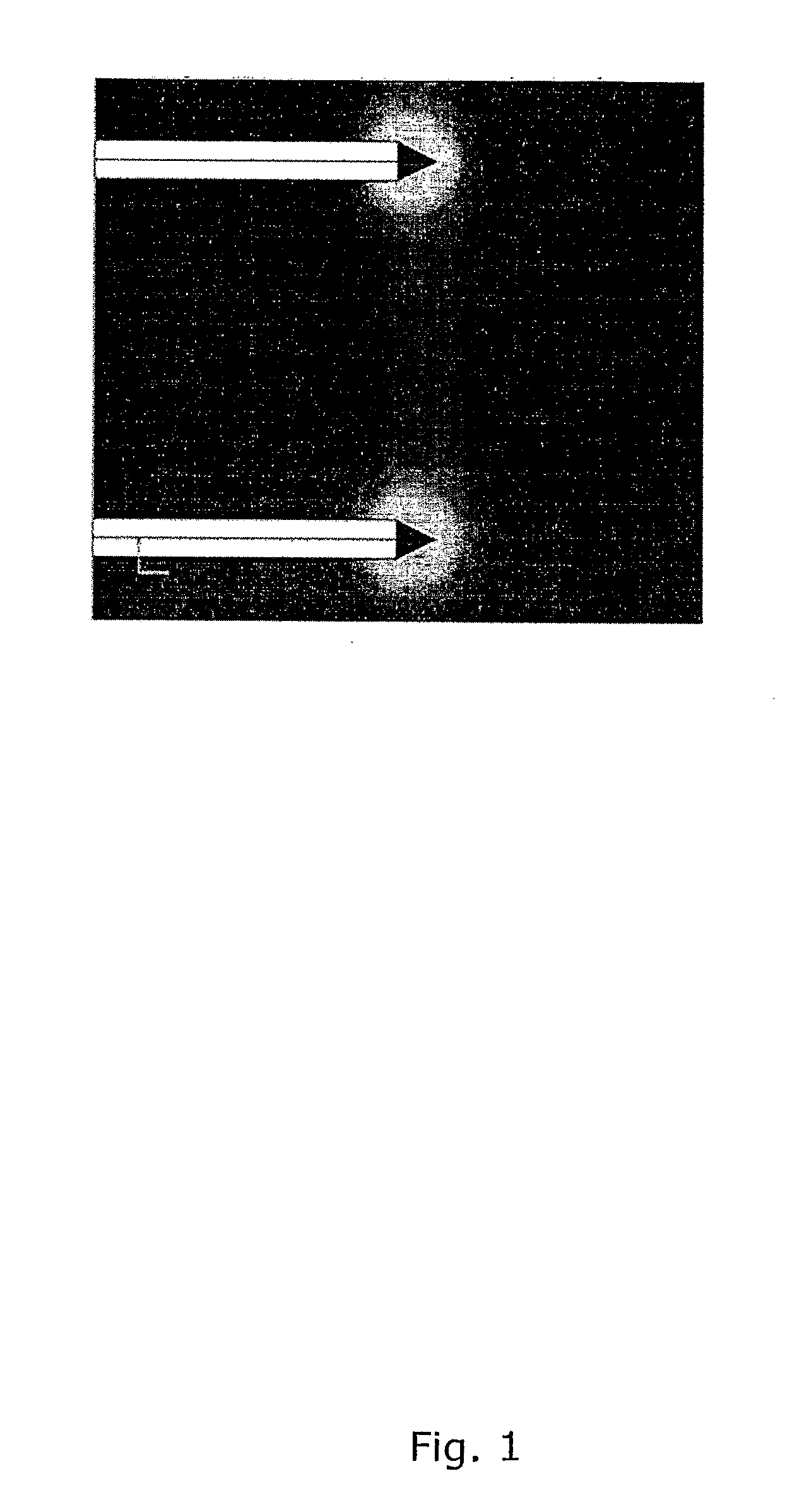 Electroporation device for improved electrical field control