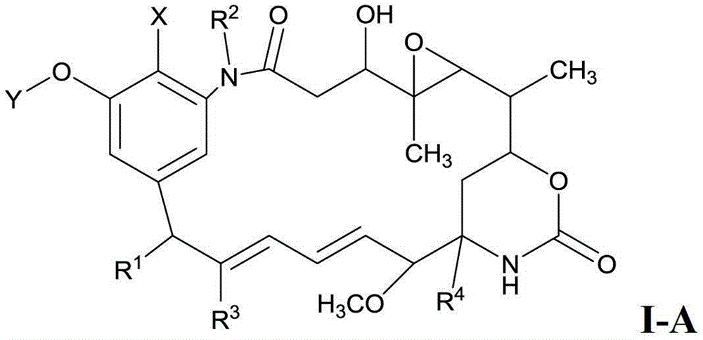 Preparation method of maytenin-like ester and composition used in method