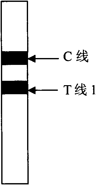 Method for employing double indicatrix immunochromatography by semi-quantity to diagnose carcinoembryonic antigen