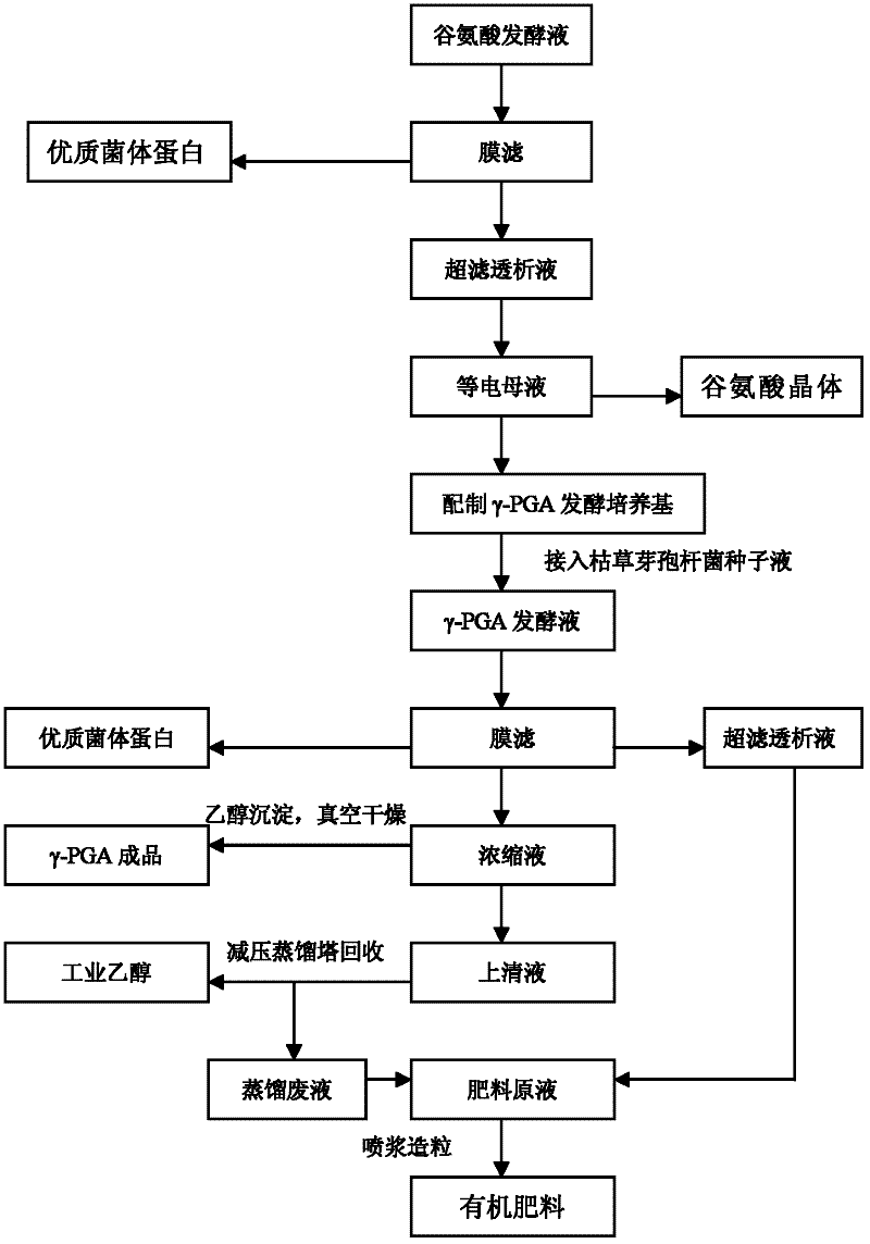 Method for cleanly producing glutamic acid, gamma-polyglutamic acid and organic fertilizer