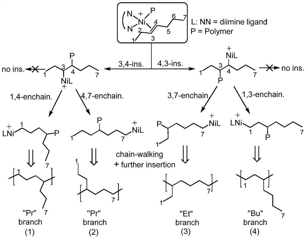 Application of a para-phenyl-containing α-diimine nickel (ii) complex in catalyzing the chain walking polymerization of 3-heptene