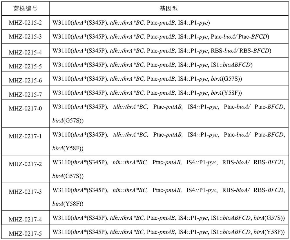 Genetically engineered bacterium for producing L-threonine as well as construction method and application of genetically engineered bacterium