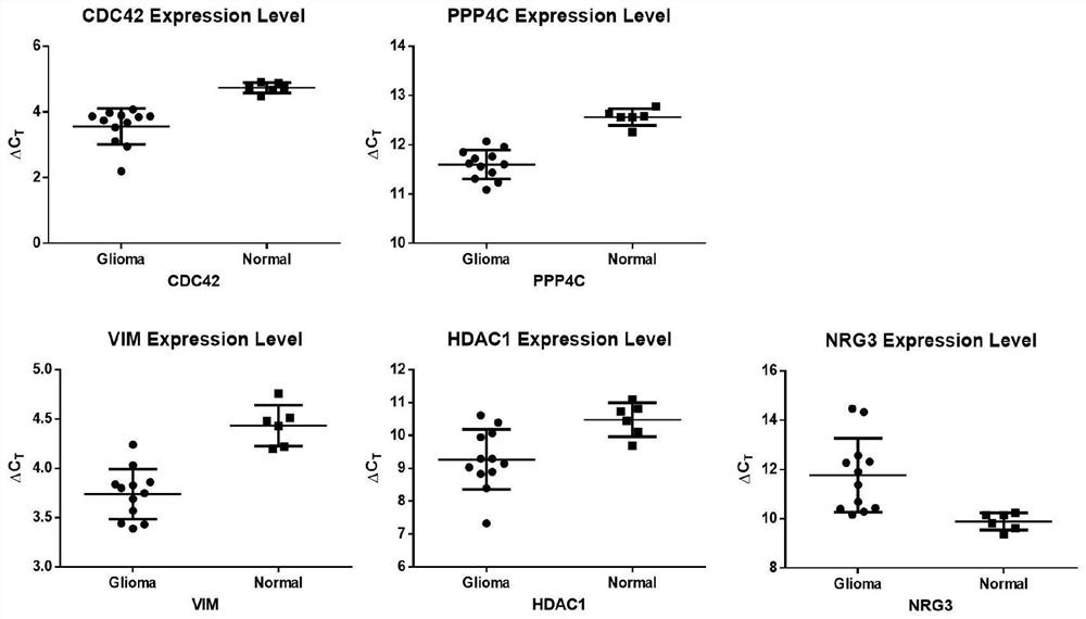 Application of immune-related genes in kit and system for predicting prognosis of diffuse glioma