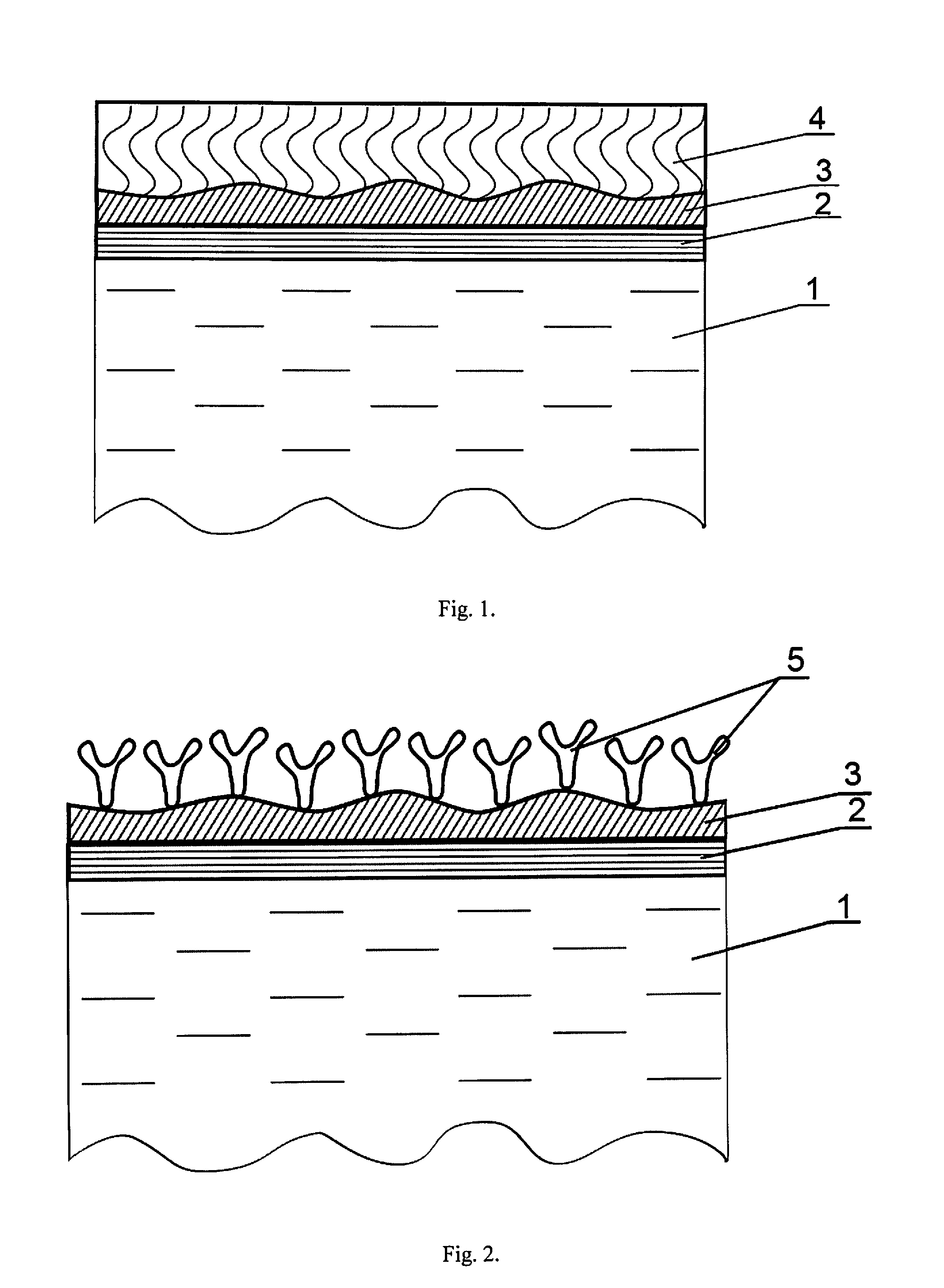 Biological Sensor and a Method of the Production of Biological Sensor