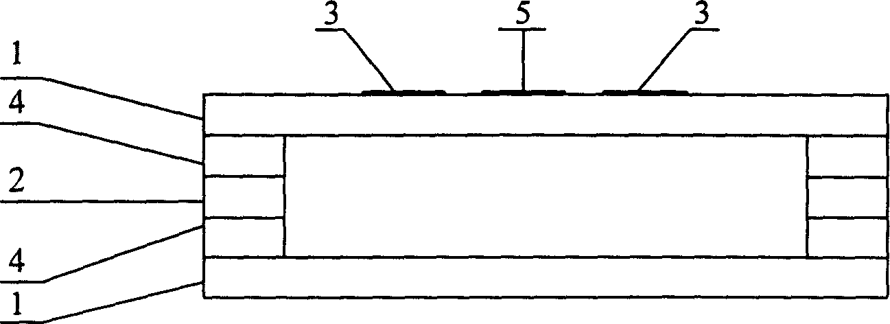 Three-electrode field transmitting displaying device with glass strip array as separated pole and production thereof