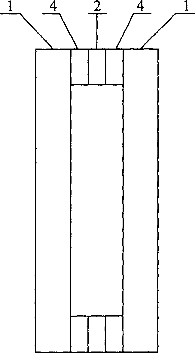 Three-electrode field transmitting displaying device with glass strip array as separated pole and production thereof