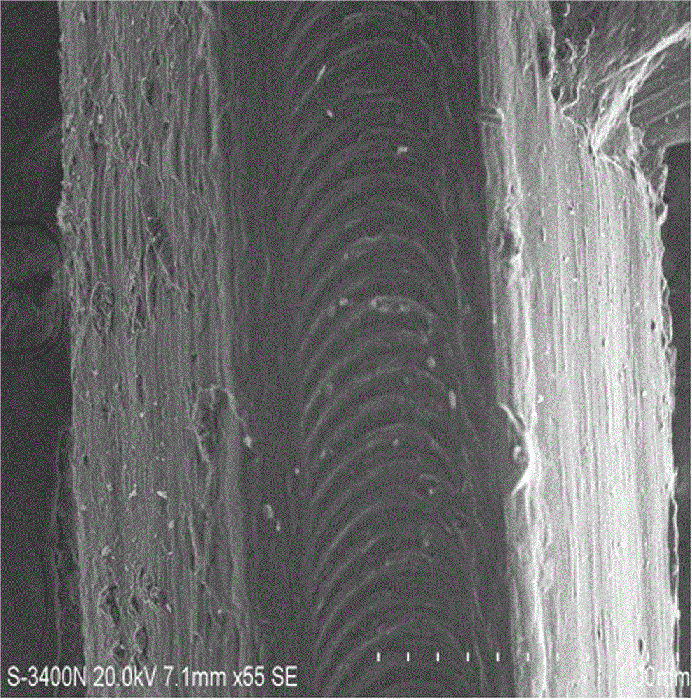 Preparation method of algae biofilm