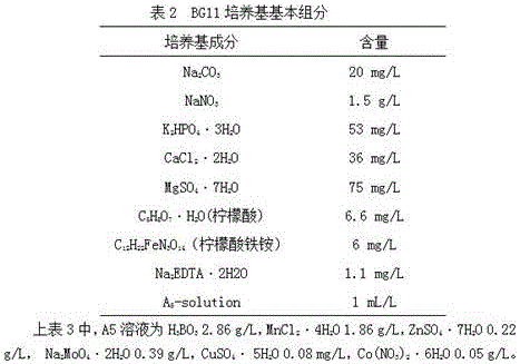 Preparation method of algae biofilm