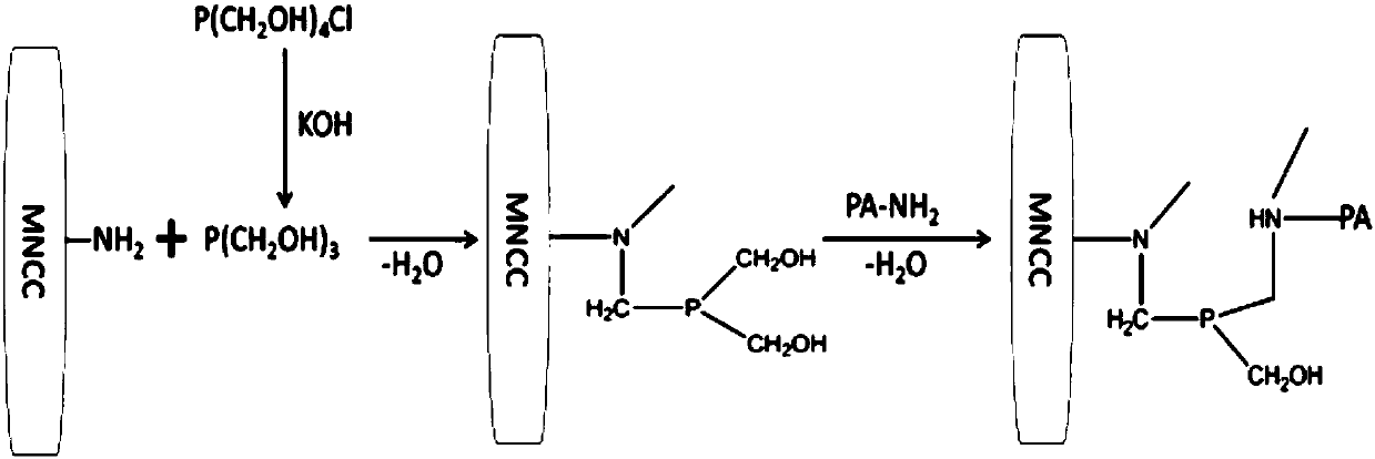 Penioillin acylase preparation and immobilization method