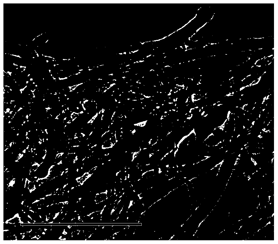 A kind of Schiffer base copper complex modified carbon nanotube and its preparation method and application