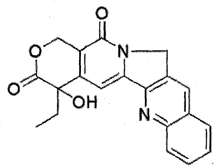 A kind of separation and purification method of camptothecin