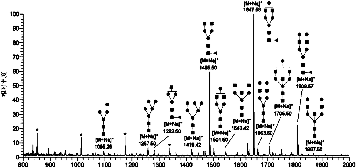 Method for detecting core fucosylation level of serum IgG