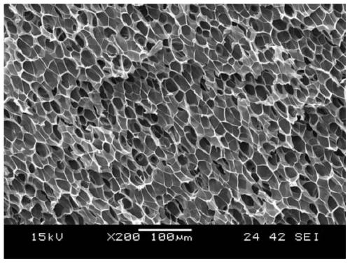 Low-density polypropylene foam with heat insulation performance and preparation method and application thereof