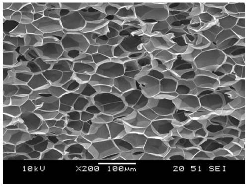 Low-density polypropylene foam with heat insulation performance and preparation method and application thereof